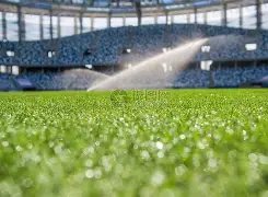 荃中喷气机,胜势头强劲,今夜主场再,皇冠体育app下载,皇冠体育官网,皇冠体育官方网站,皇冠体育平台